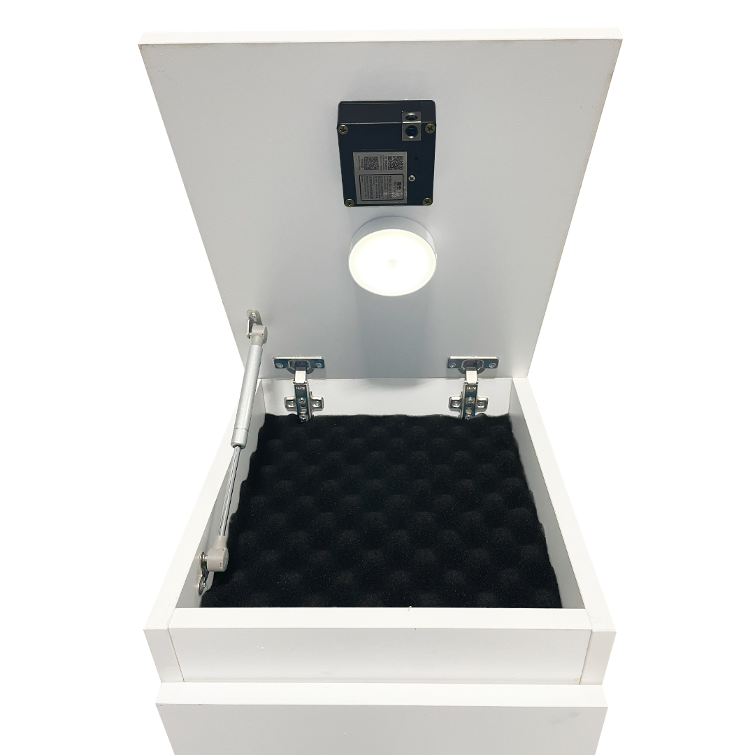 Premium Stand Süngeri